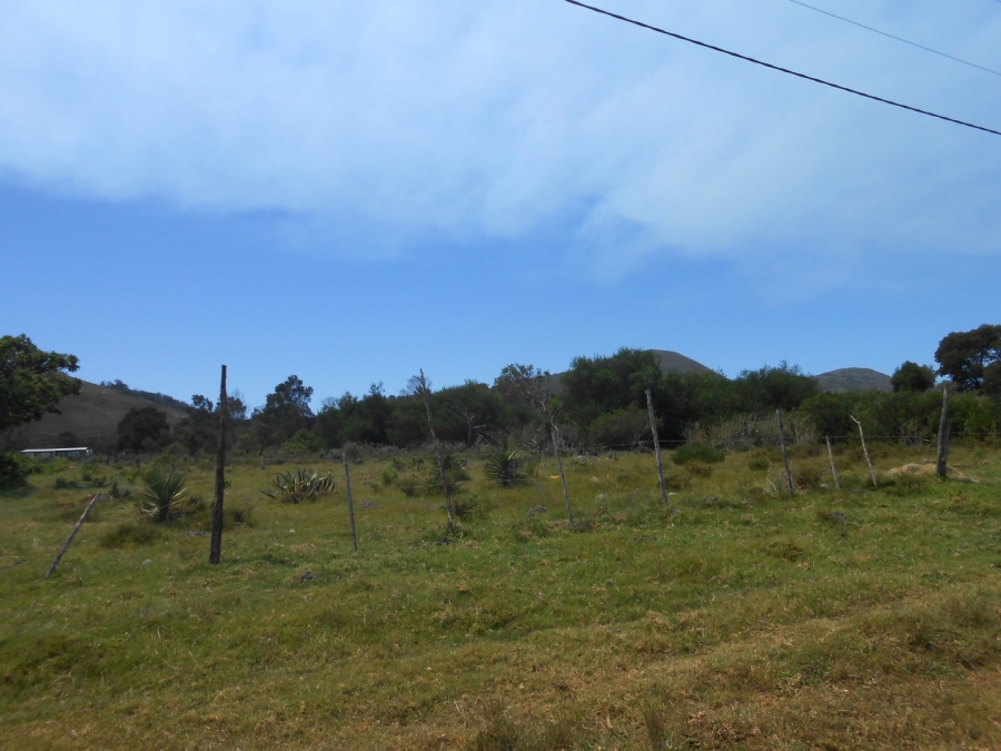0 Bedroom Property for Sale in Kruisfontein Eastern Cape